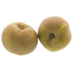 POMME CANADA GRIS 75/80MM KG